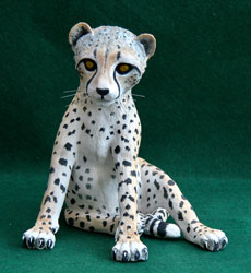 Cheetah Kit