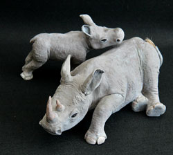 White Rhino & Calf
