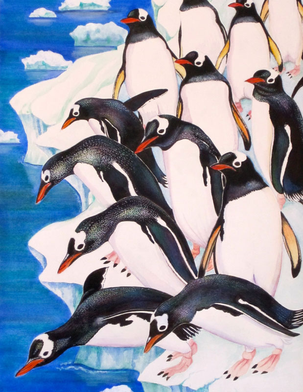 penguins diving