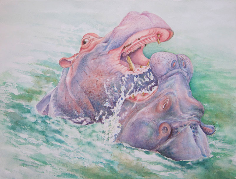 “Hippos”