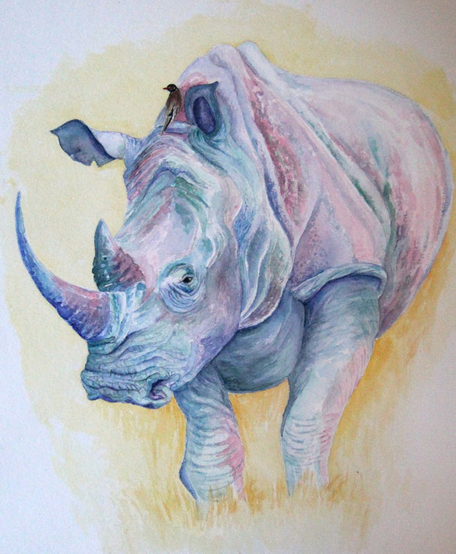 “Rhino