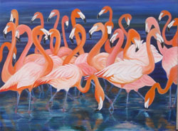 flamingoes