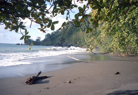 Corcovado Beach