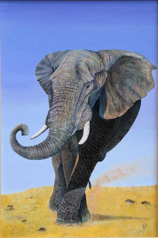 Elephant