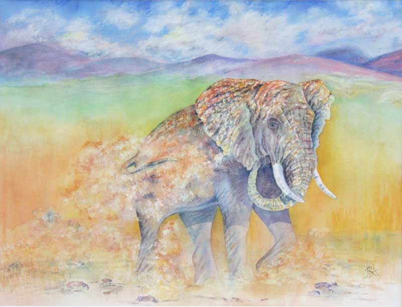 Elephant1