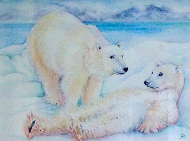 Polar Bears