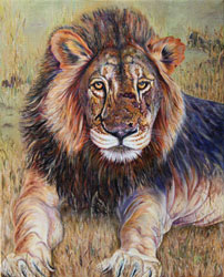 lion