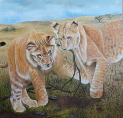 lion cubs