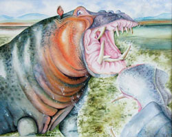 hippos