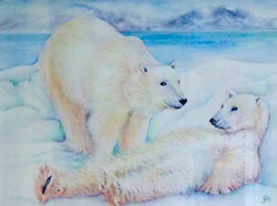 Polar Bears