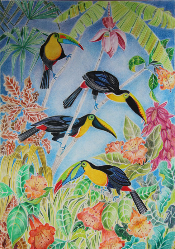 “Toucans”