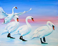 swans