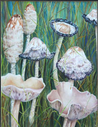 toadstools