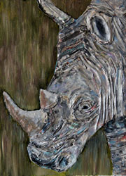 Rhino Collage