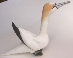 Gannet