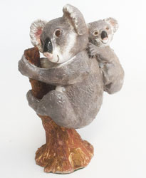 Koalas