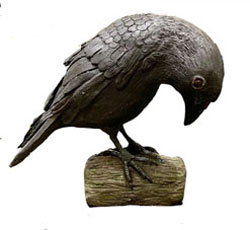 Carrion Crow