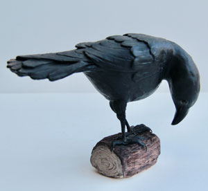 Carrion Crow