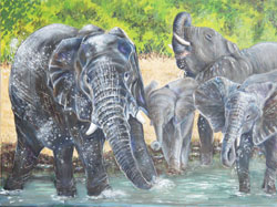 Elephants