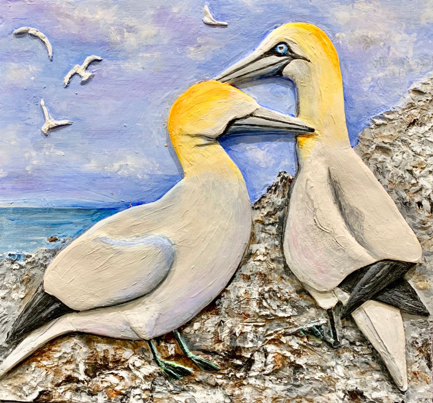 Gannets