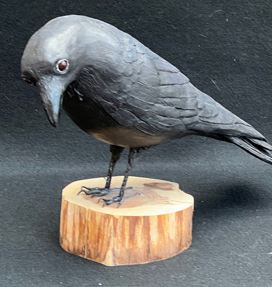 Carrion Crow