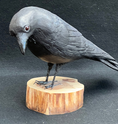 Carrion Crow