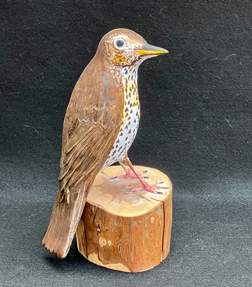 Song Thrush