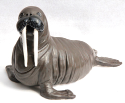 Walrus