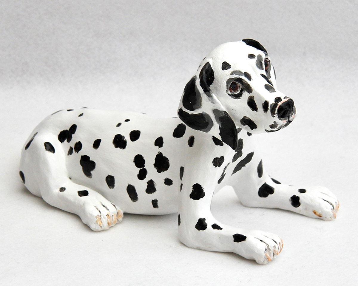 Dalmatian Puppy