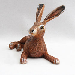 Brown Hare