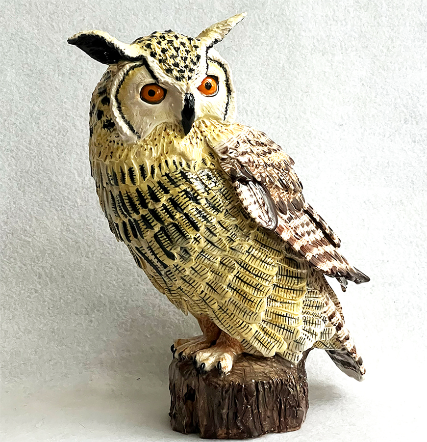 Long-eared Owl