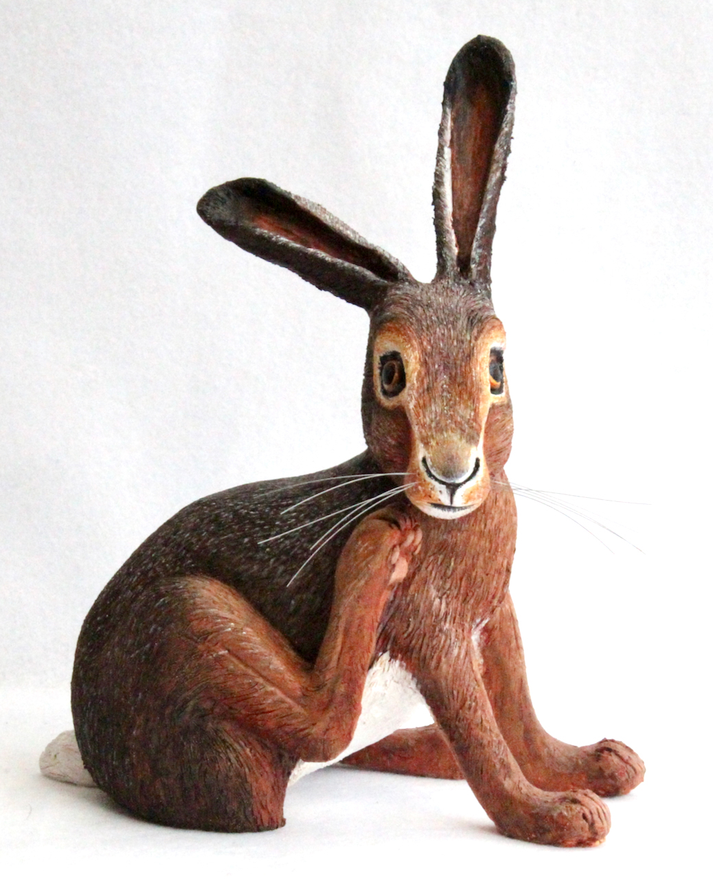 Hare