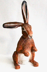 Brown Hare