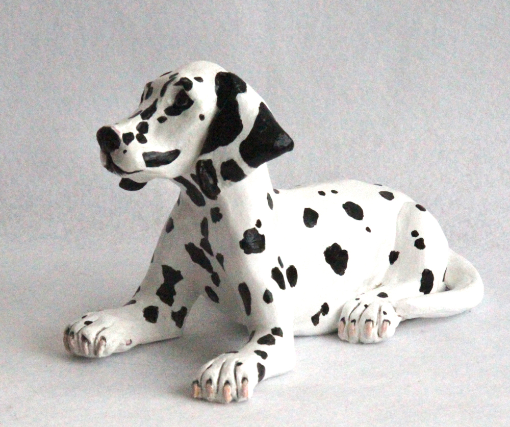 Dalmatian Puppy