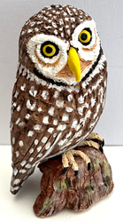 Little Owl 2