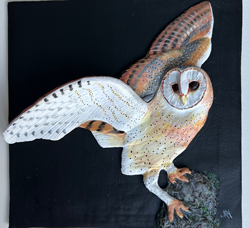 Barn Owl