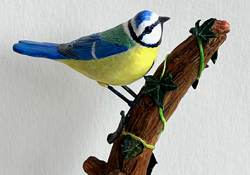 Blue Tit