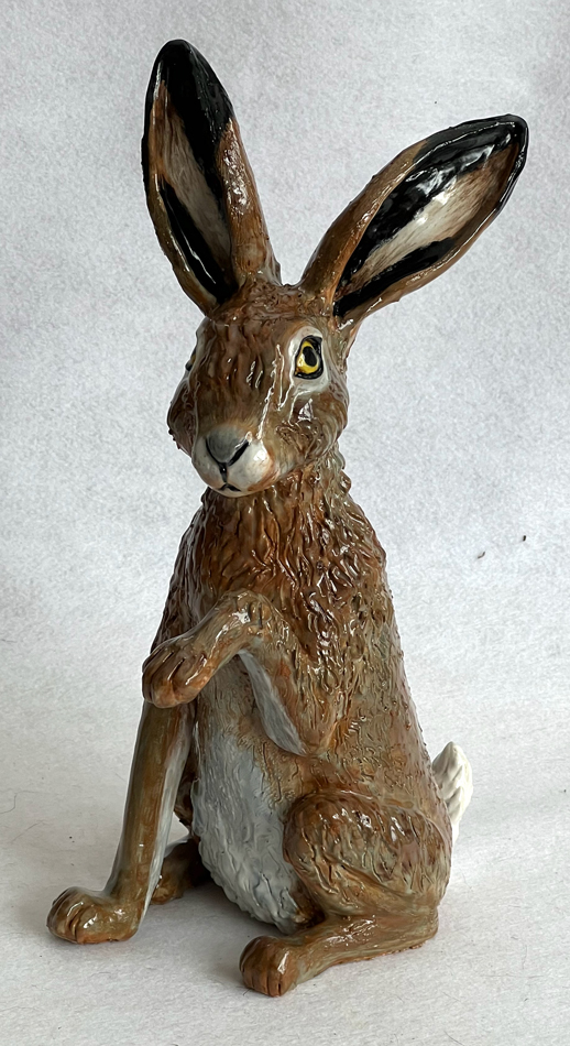 Brown Hare 4