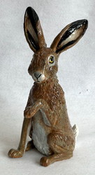 Brown Hare