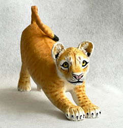 Lion Cub