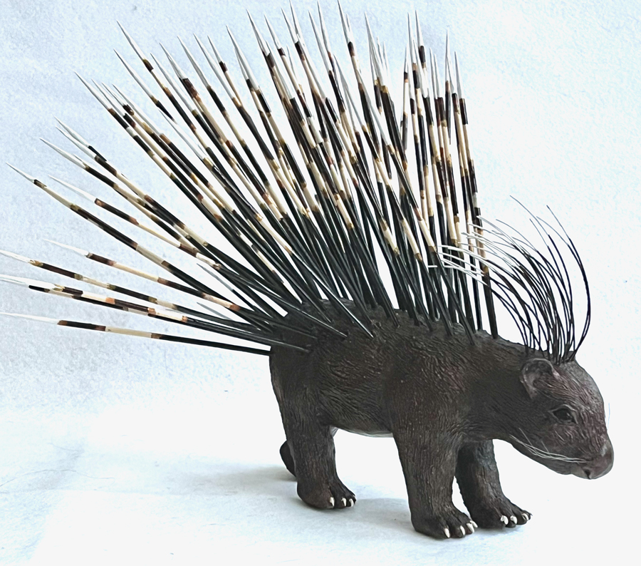Porcupine
