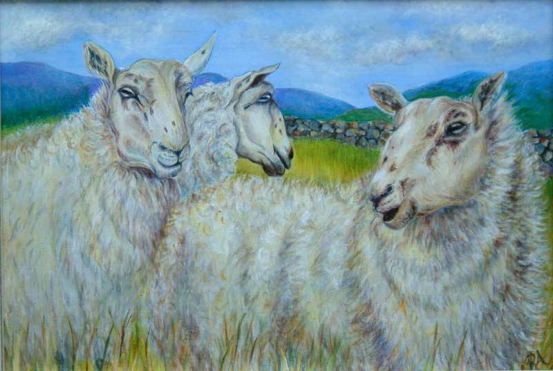 White Sheep