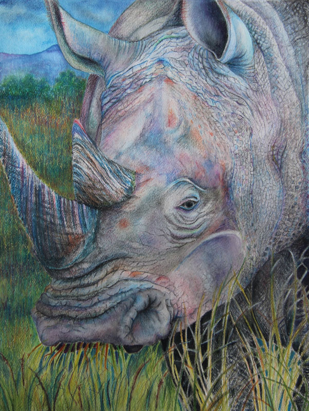 “Rhino