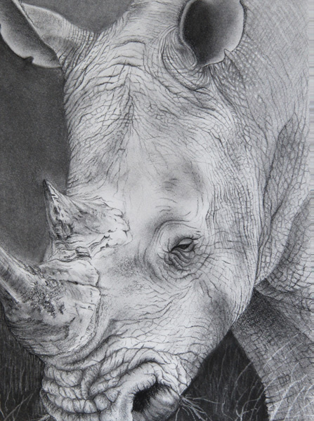 Black Rhino Head