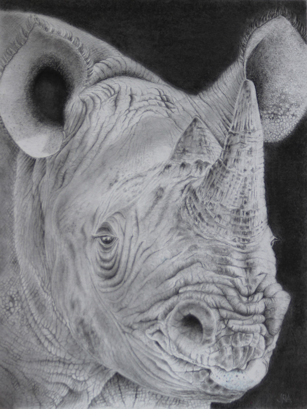 RhinoHead