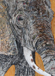 Elephant Collage