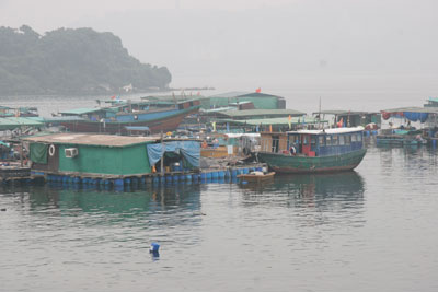 Fish Farm