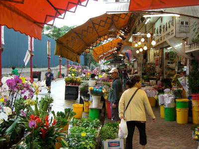 Flower Market